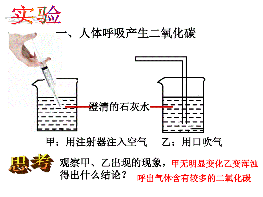 人体内的气体交换_第3页