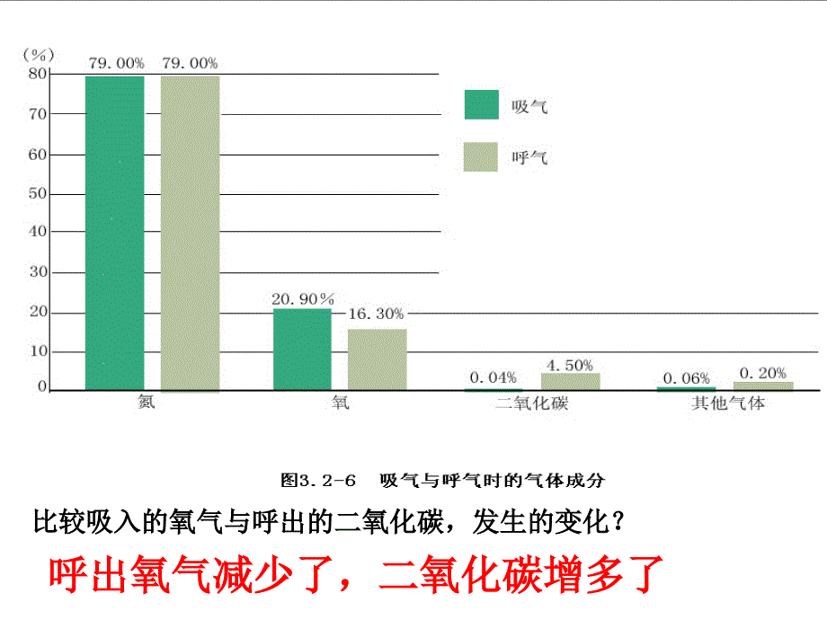 人体内的气体交换_第4页