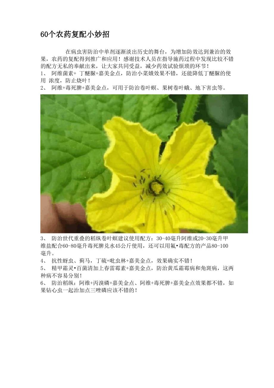 60个农药复配小妙招_第1页