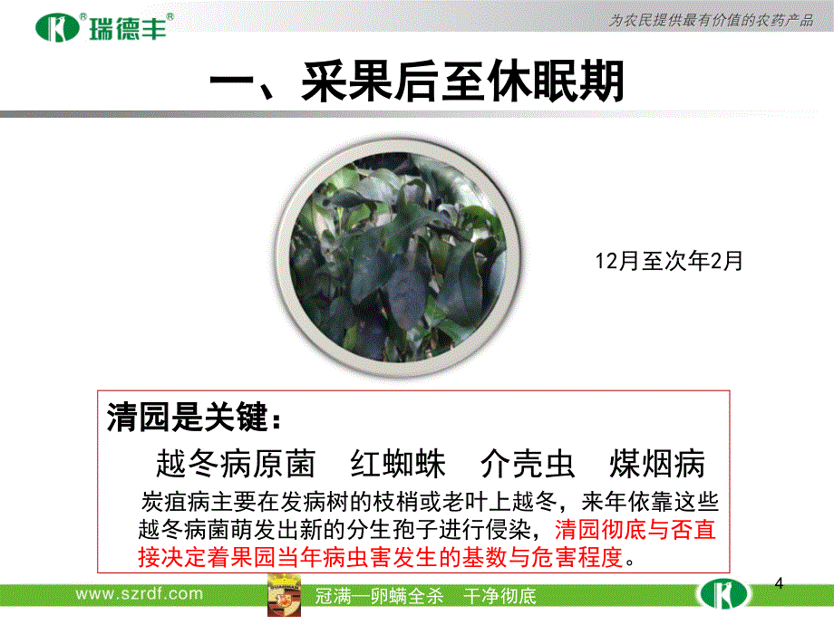 柑橘解决方案ppt课件.ppt_第4页