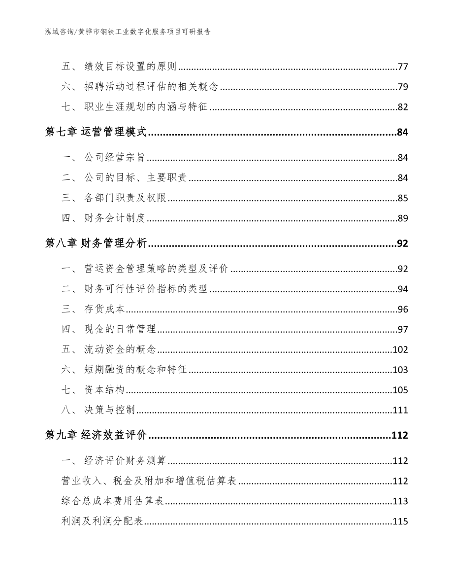 黄骅市钢铁工业数字化服务项目可研报告【范文模板】_第4页