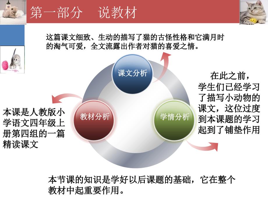 猫说课稿课件_第3页