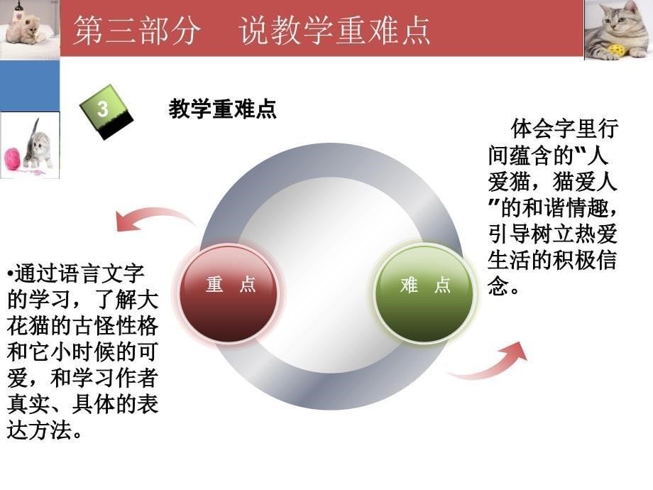 猫说课稿课件_第5页