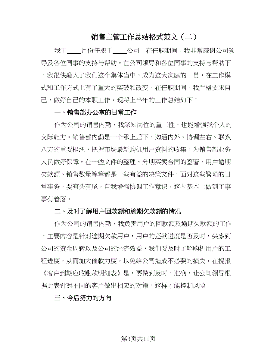 销售主管工作总结格式范文（六篇）.doc_第3页