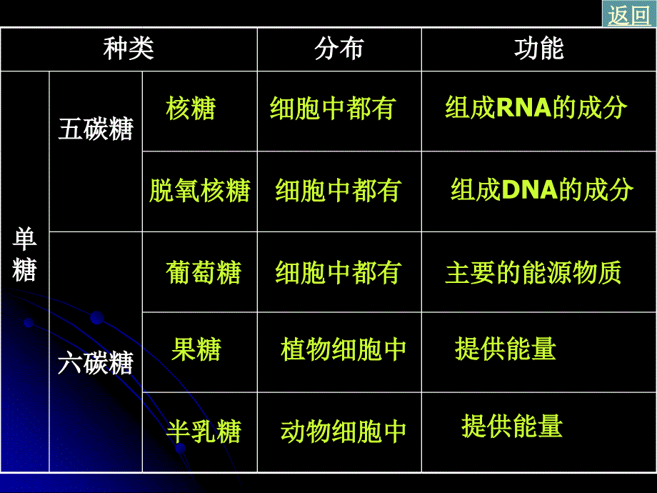 细胞中的糖类和脂质2_第5页