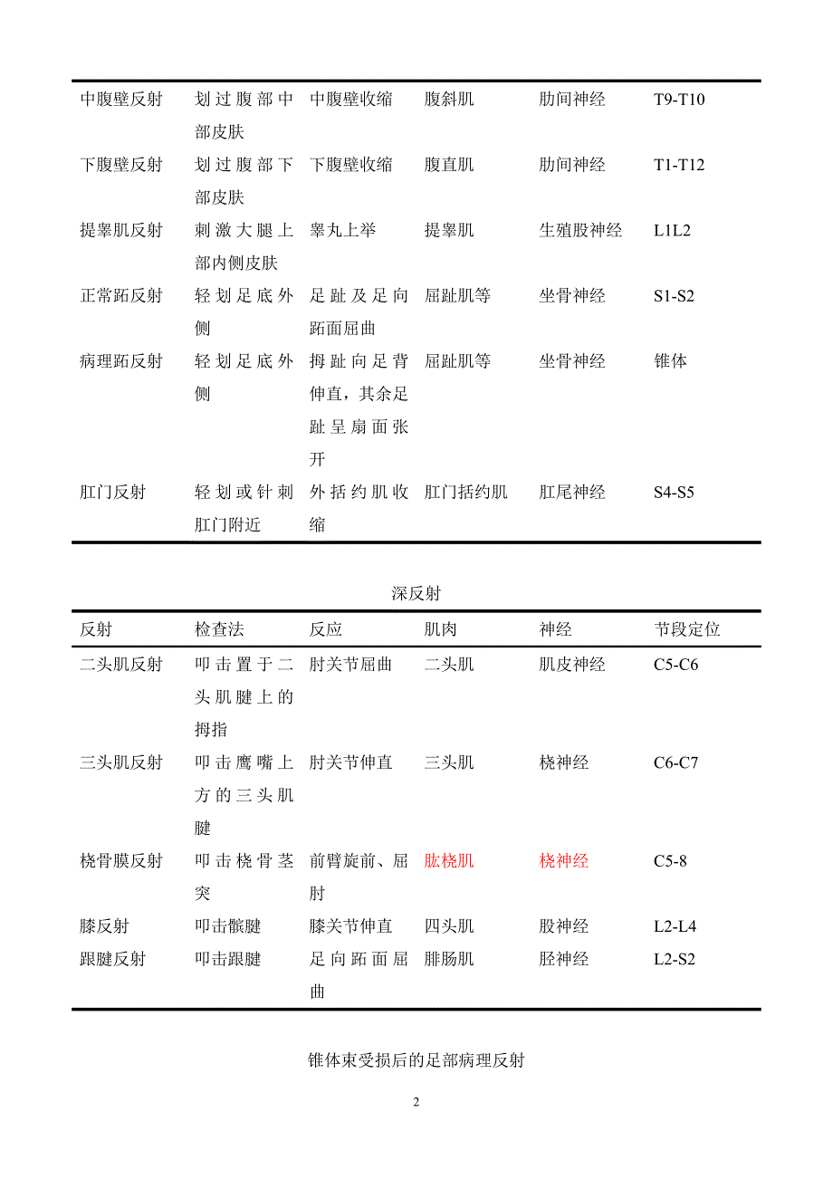 骨科 实用 数据.doc_第2页