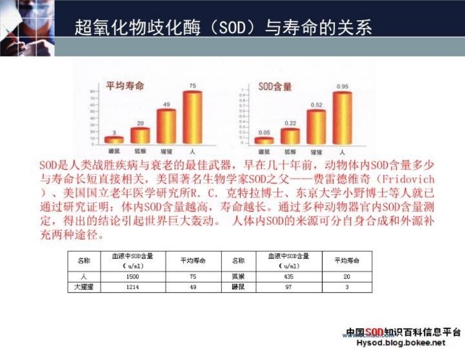 最新左有权讲座之超氧化物歧化酶(SOD)临床应用——(SOD治疗PPT课件_第4页