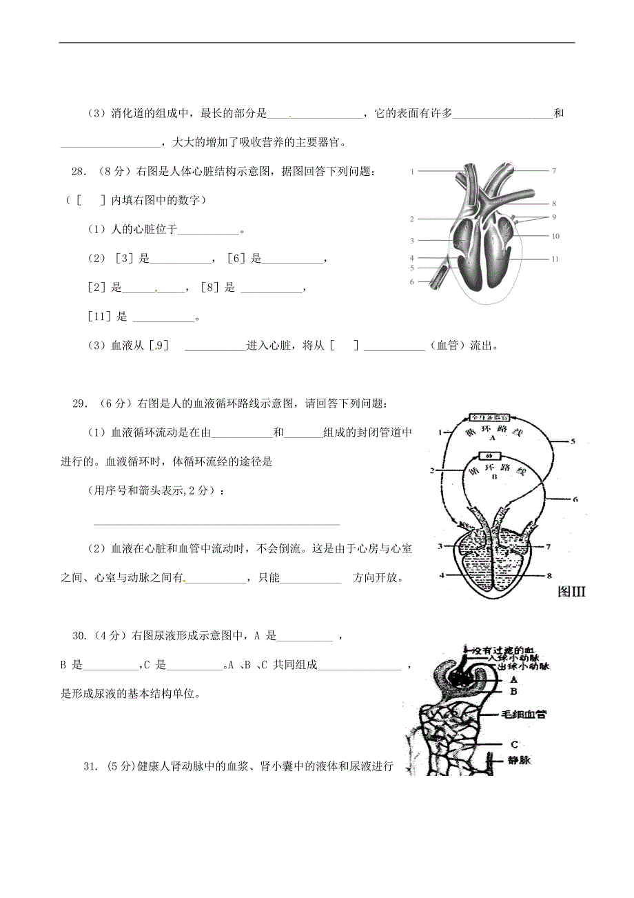 福建省龙岩一中分校七年级生物下学期期中测试试题_第4页