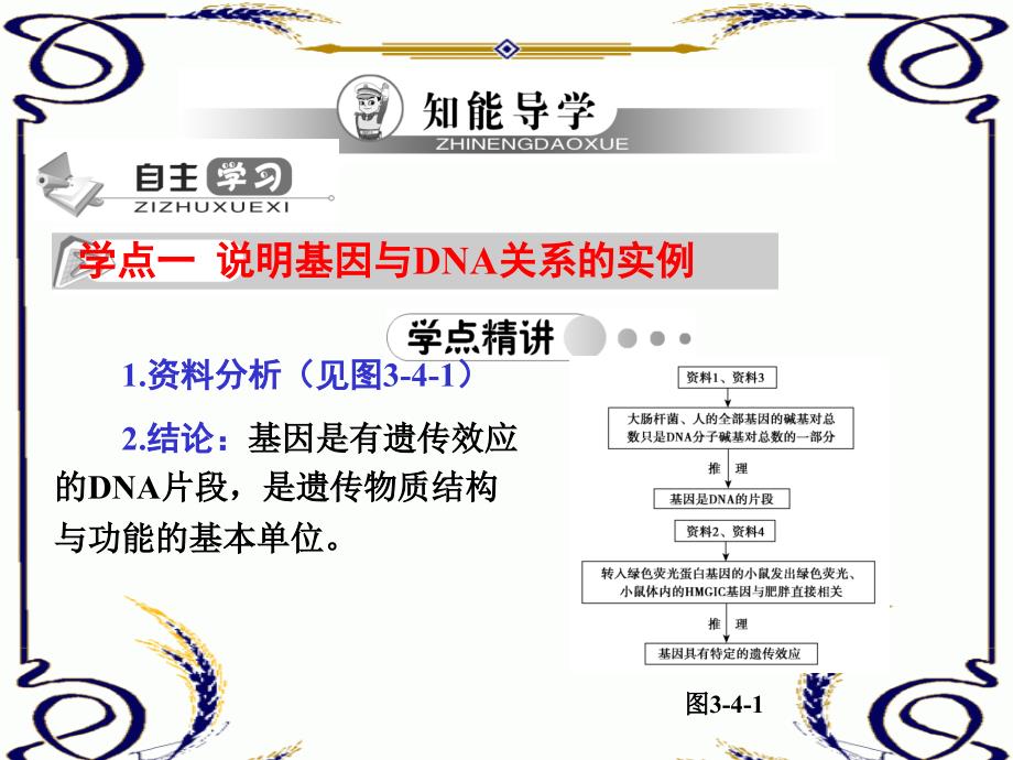 高中生物（预习自查+知能导学+难点突破）第三章 3.4 基因是有遗传效应的DNA片段同步课件 新人教版必修2_第3页