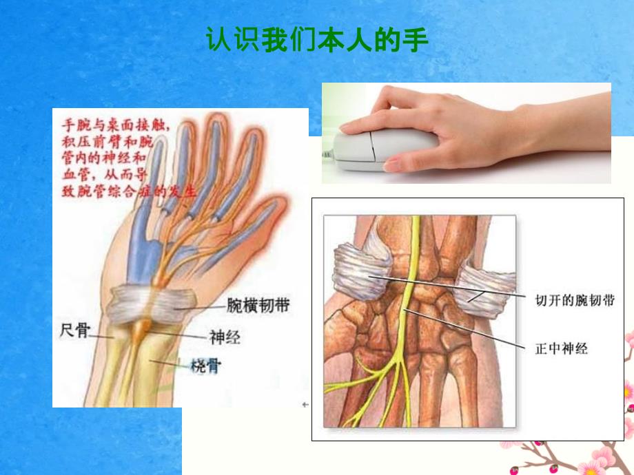 办公室工作人员的健康防护ppt课件_第3页