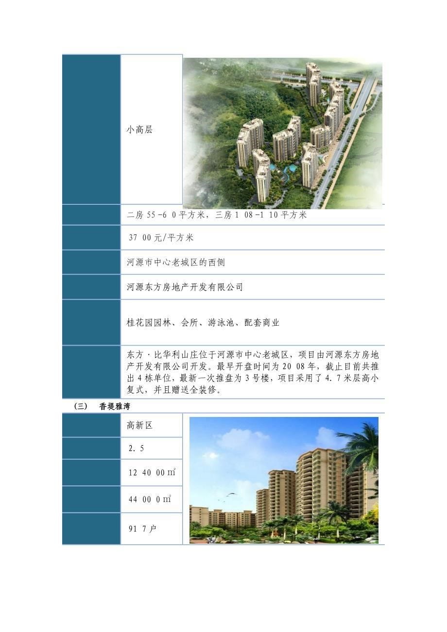 XXXX年河源房地产市场简报_第5页