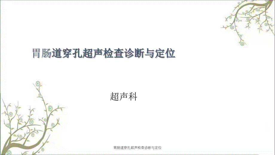 胃肠道穿孔超声检查诊断与定位_第1页