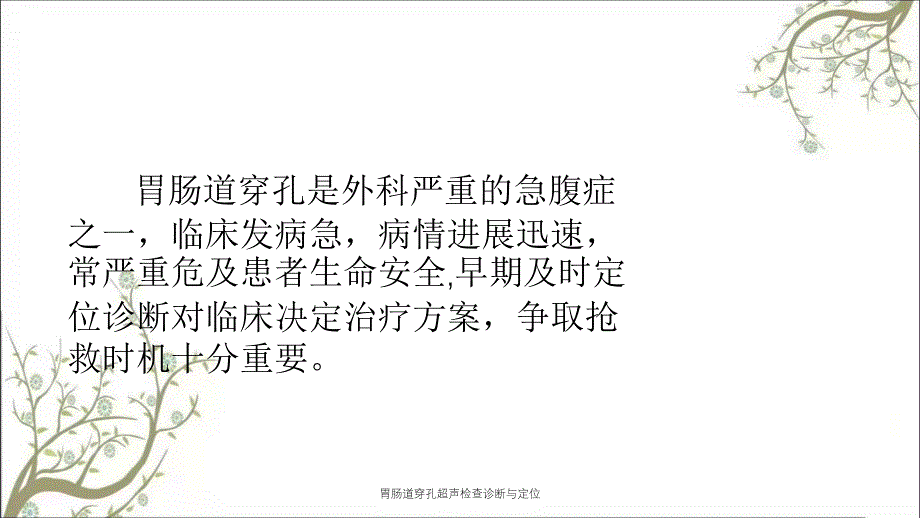 胃肠道穿孔超声检查诊断与定位_第3页