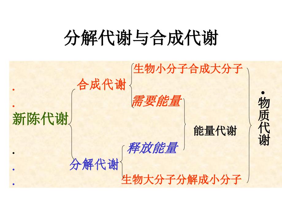 第七章新陈代谢总论与生物氧化_第4页