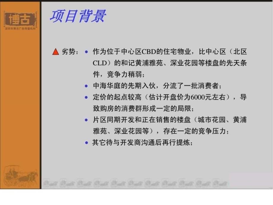 星河广告推广策略提案房地产策划文案.ppt_第5页