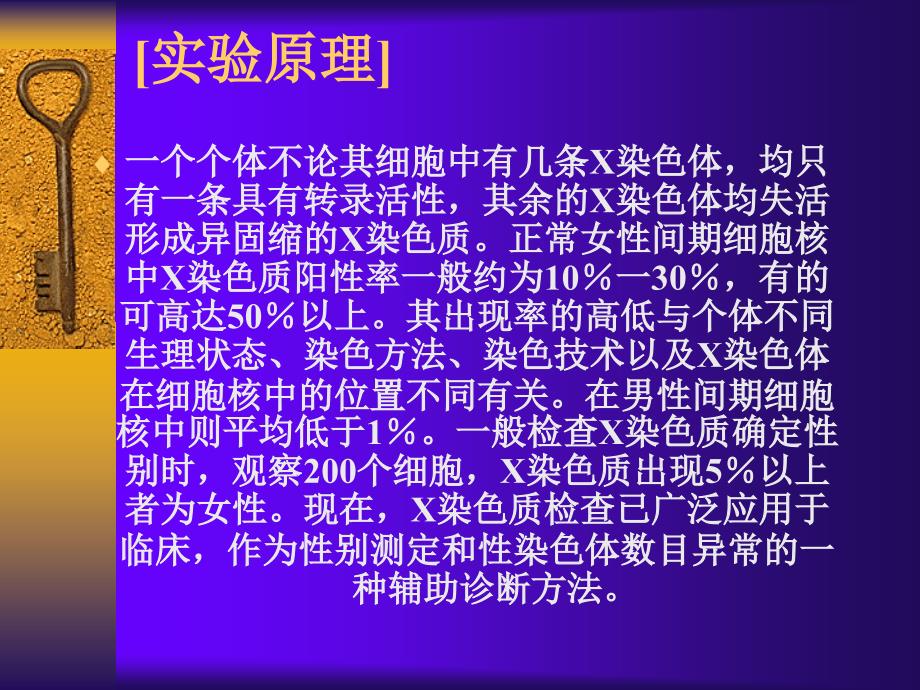 最新实验一X染色质标本制备与观察PPT课件_第2页