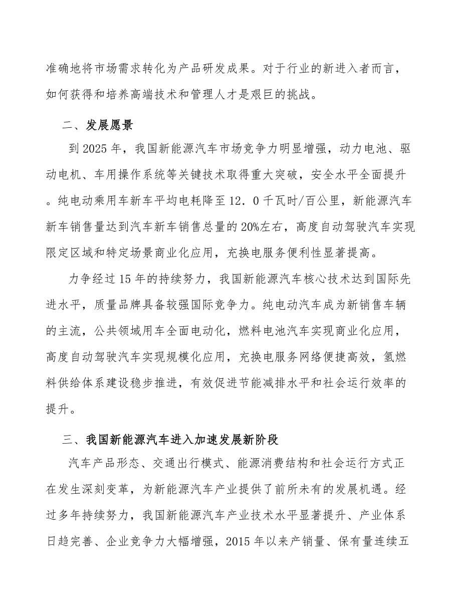 新能源汽车行业进入壁垒分析_第5页