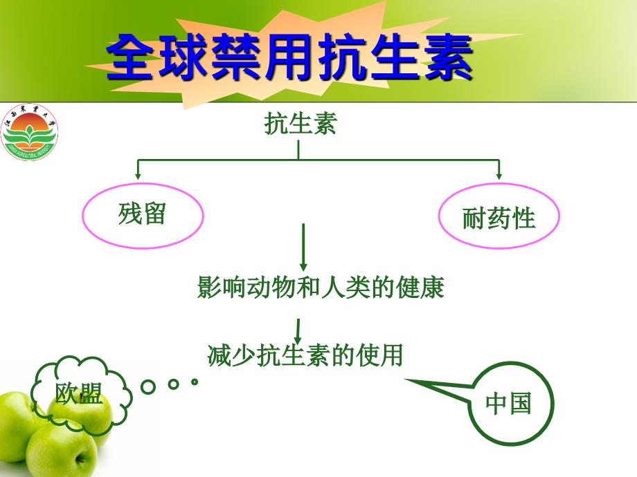 第四章非营养性添加剂饲料酸化剂介绍_第3页