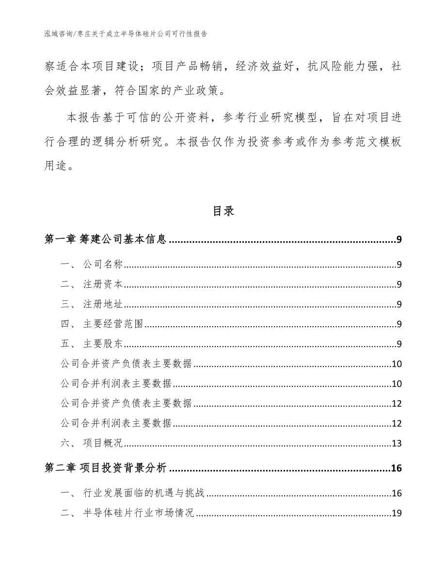 枣庄关于成立半导体硅片公司可行性报告（参考模板）_第3页