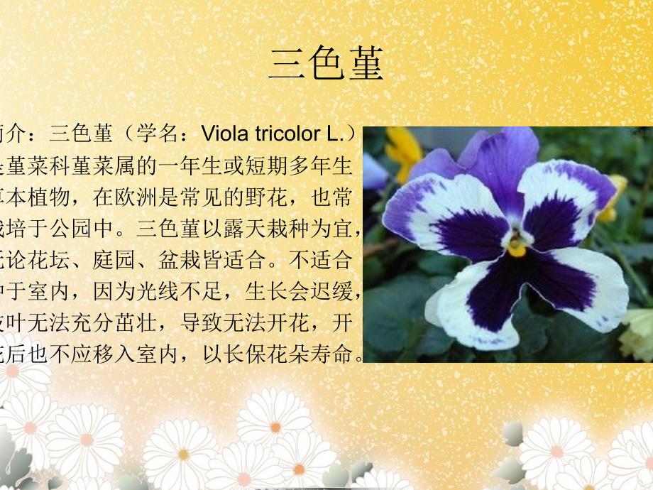 花卉学实习植物图片_第2页