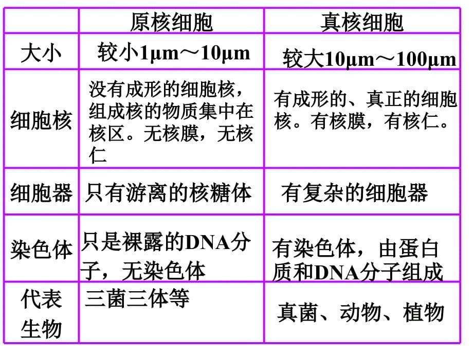 高一生物必修1期末全册复习课件_第5页