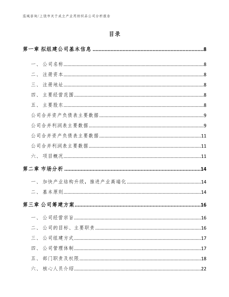 上饶市关于成立产业用纺织品公司分析报告模板范本_第2页