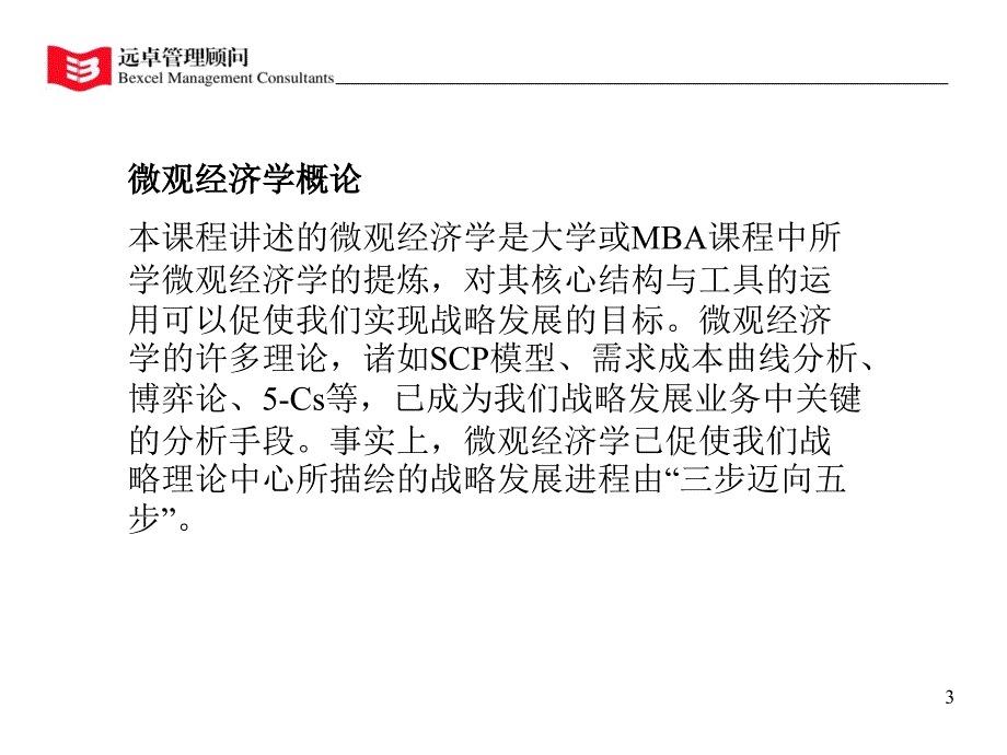 微观经济学与竞争动力学讲义_第3页