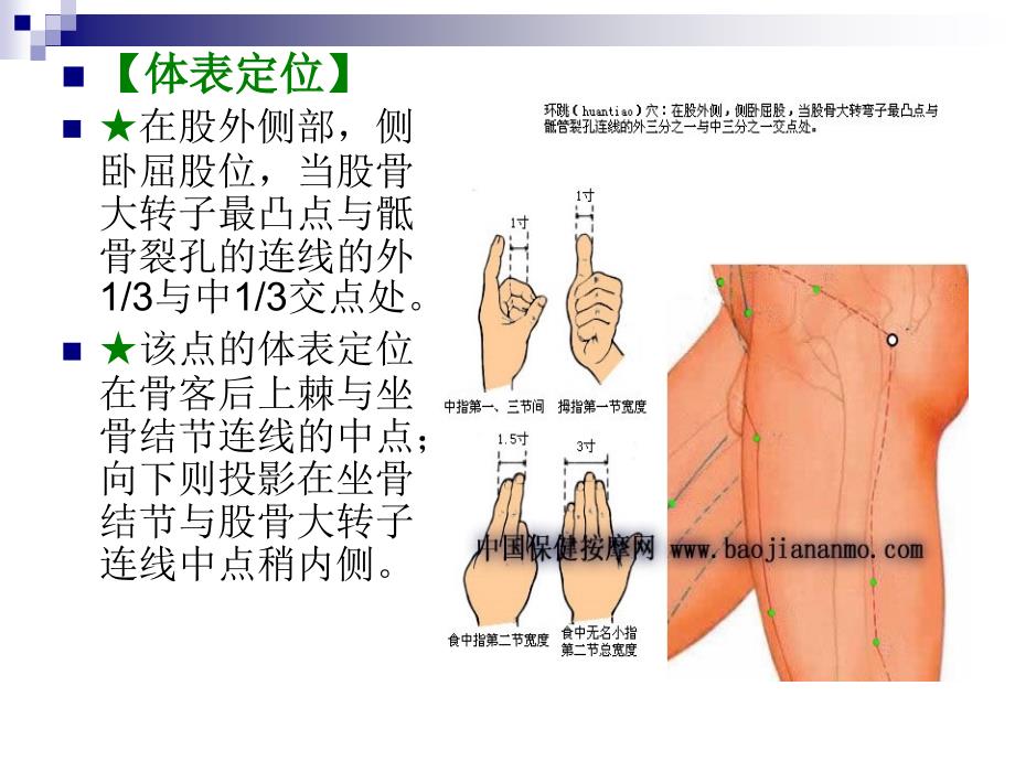 环跳穴位解剖精选文档_第3页