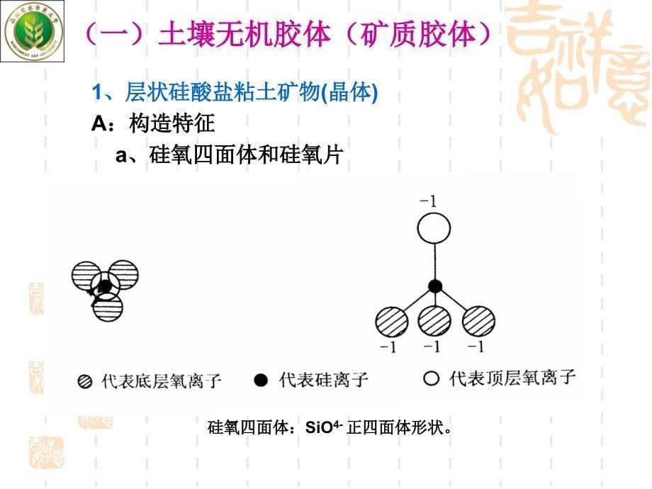 土壤肥料学第六章_第5页