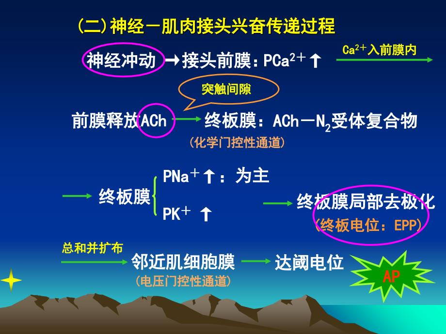 气管插管和肌松药_第4页