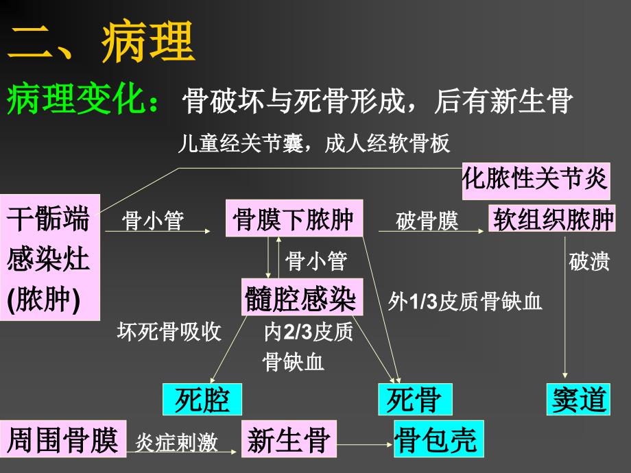 骨与关节化脓性感染化脓性骨髓炎pyogenicosteomyelitis概_第4页