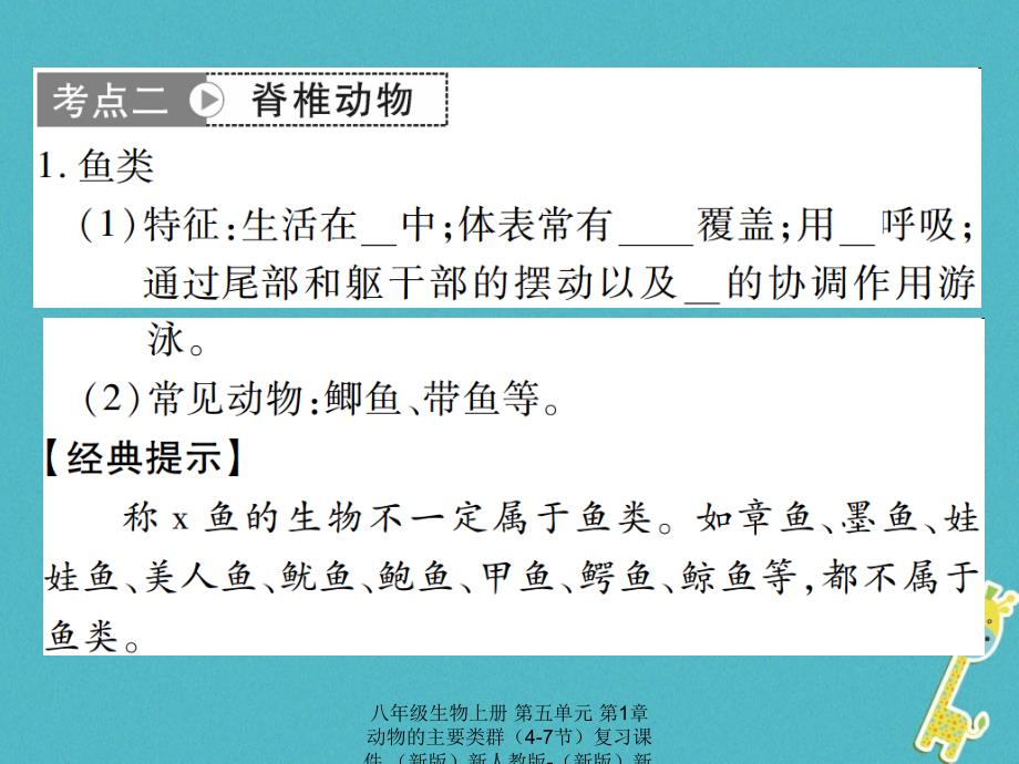 最新八年级生物上册第五单元第1章动物的主要类群47节复习课件_第2页