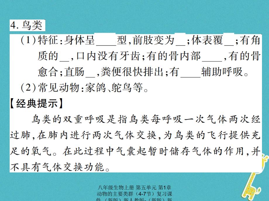 最新八年级生物上册第五单元第1章动物的主要类群47节复习课件_第4页