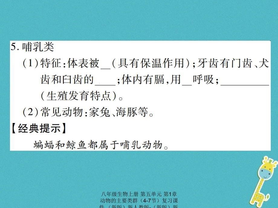 最新八年级生物上册第五单元第1章动物的主要类群47节复习课件_第5页