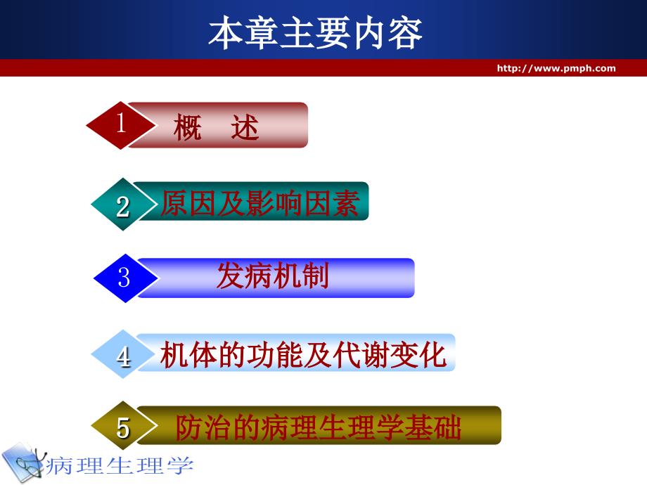 病理生理学案例版缺血再灌注损伤_第3页