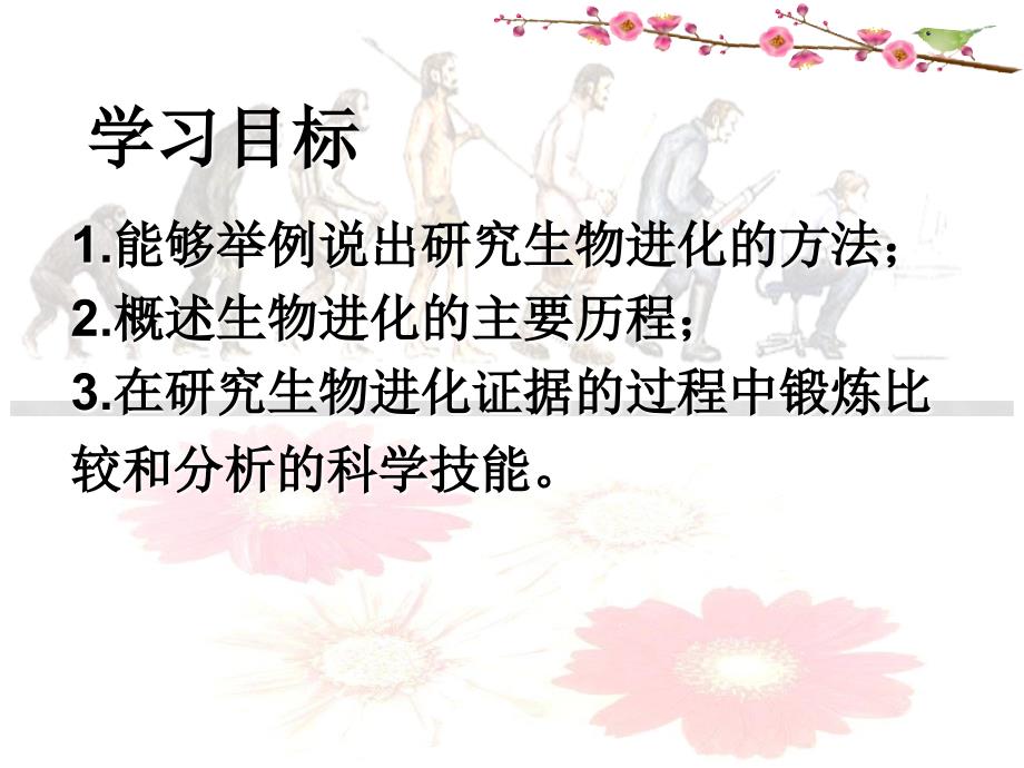 八年级生物下册 第三章第二节《生物进化的历程》课件 人教新课标版_第3页