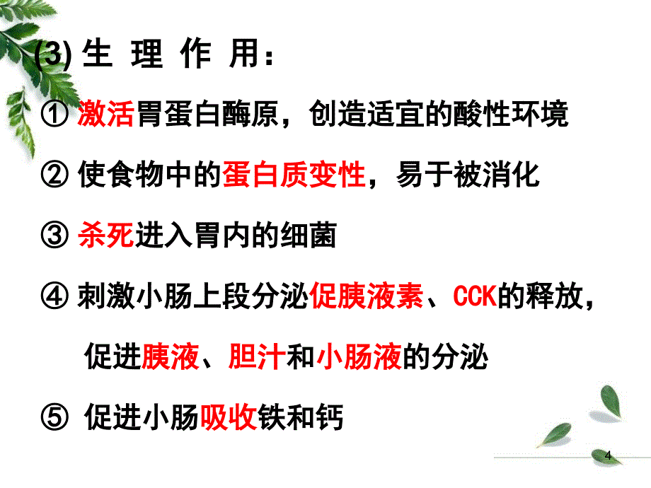 12级药学本科消化2_第4页