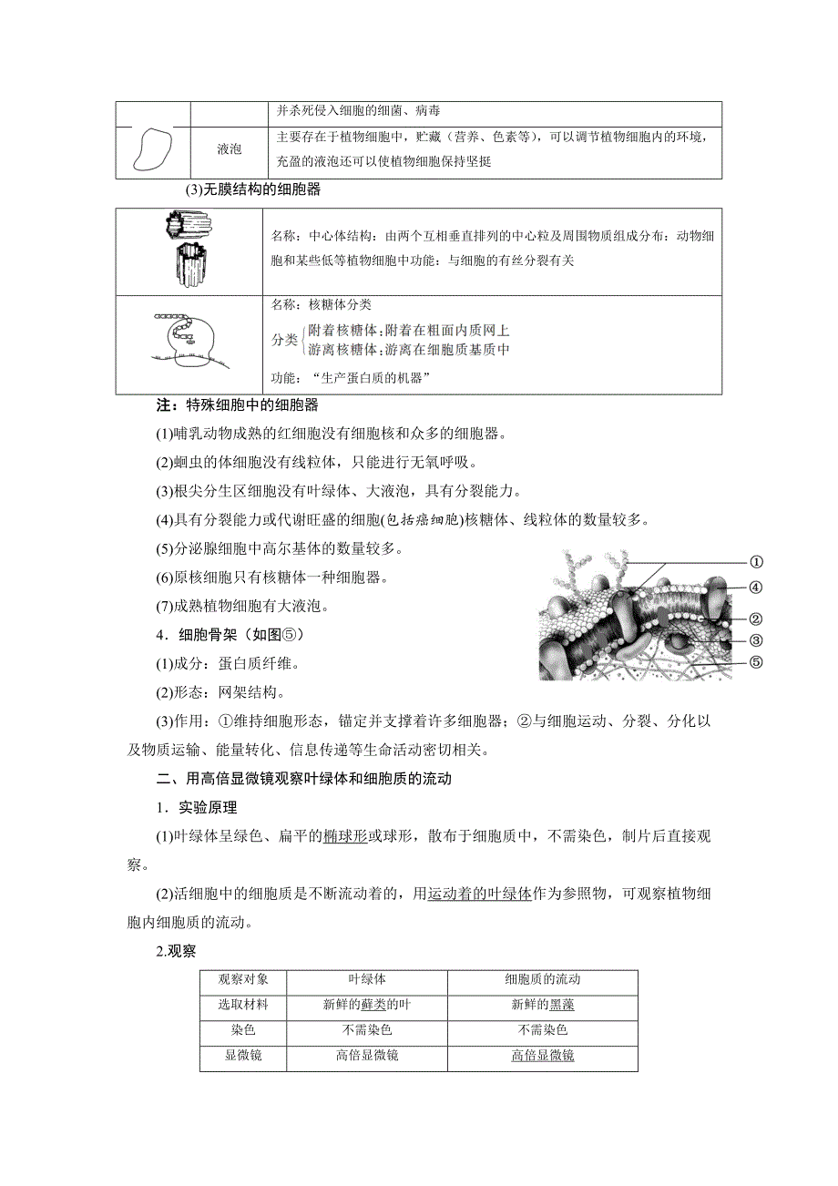 第三章细胞的基本结构知识总结 高一生物人教版必修一.docx_第4页