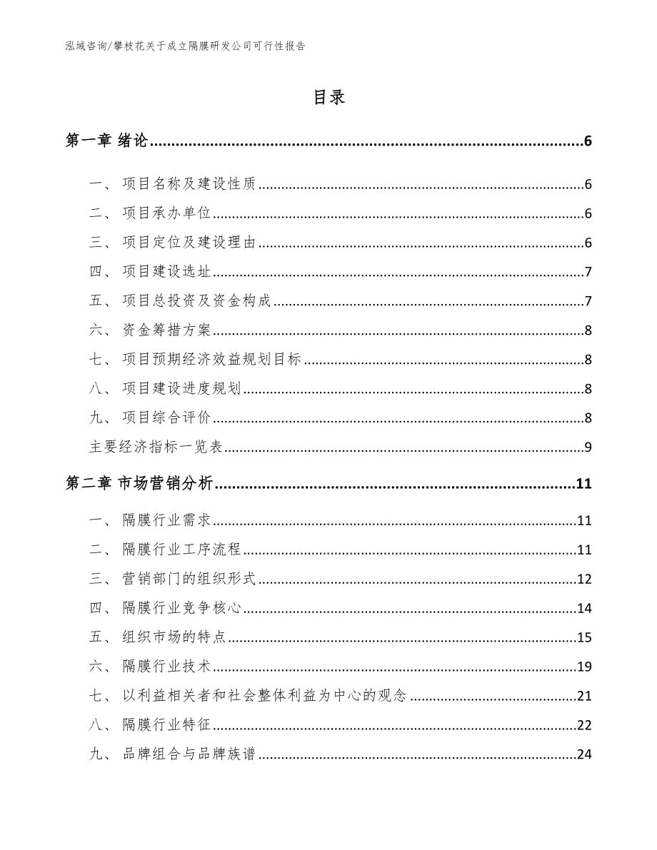 攀枝花关于成立隔膜研发公司可行性报告（模板范本）_第1页