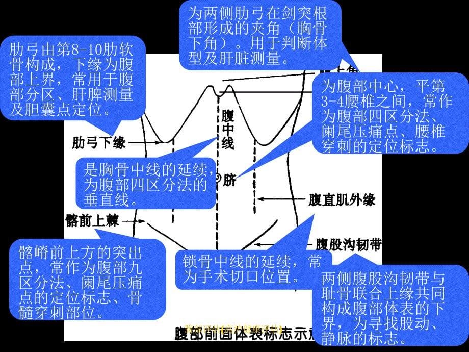 腹部评估高护健康评估课件_第5页