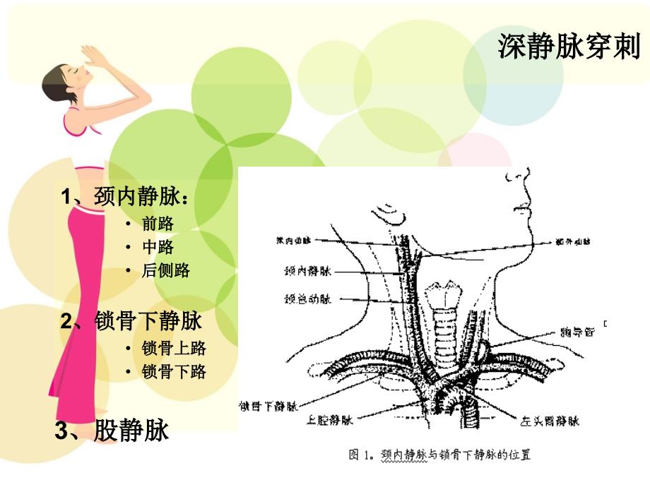 中心静脉压(CVP)监测_第3页