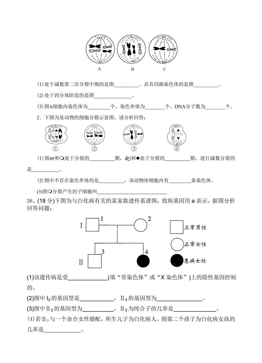 高一生物必修二期中考试试题_第5页