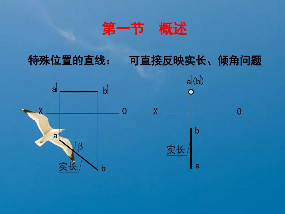 第五章投影变换ppt课件_第2页