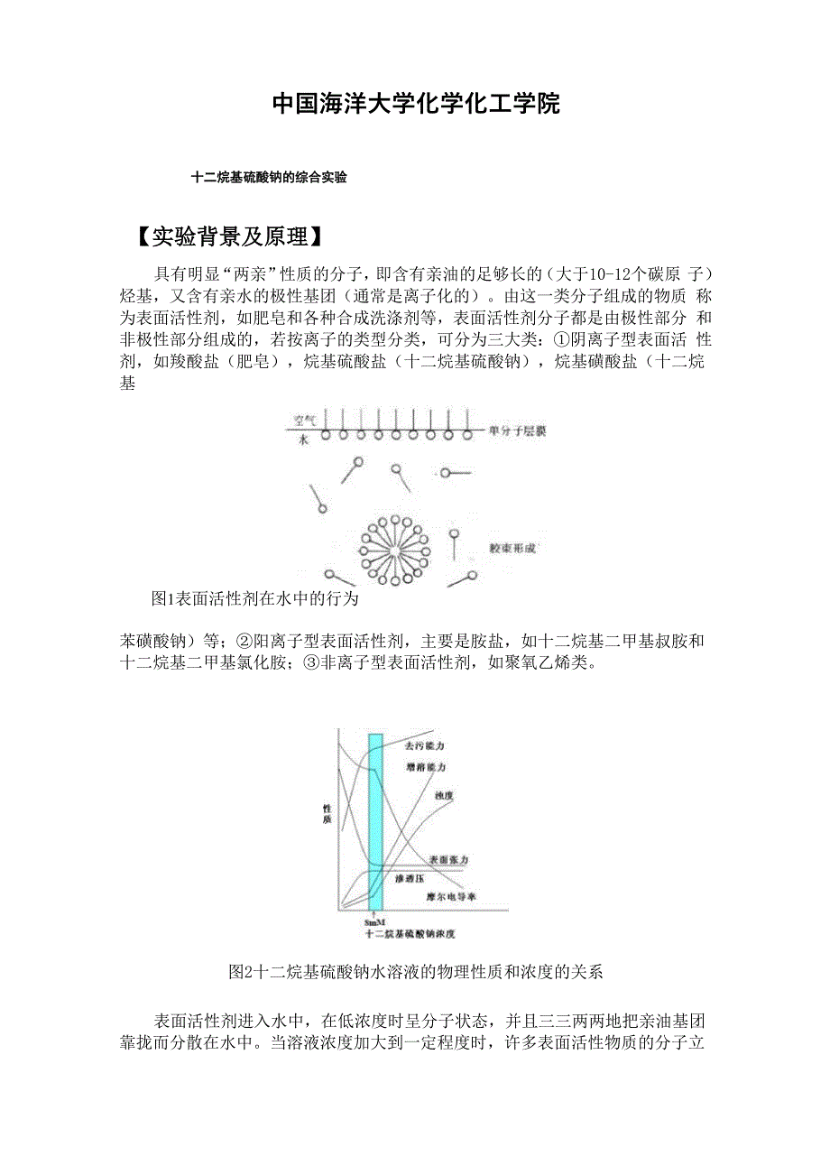 十二烷基硫酸钠的综合实验实验报告_第2页