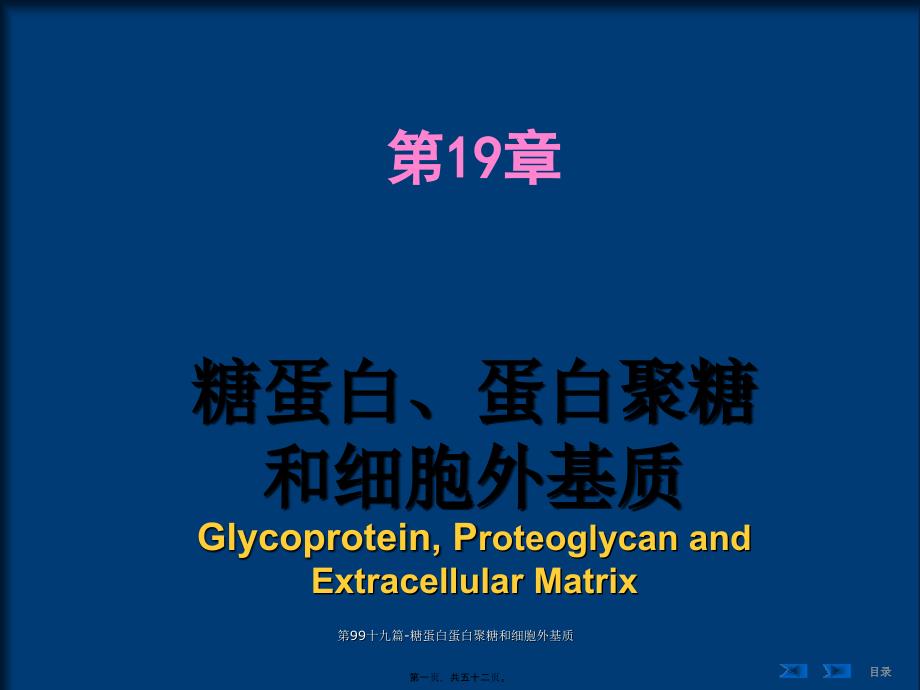 第99十九篇糖蛋白蛋白聚糖和细胞外基质课件_第1页