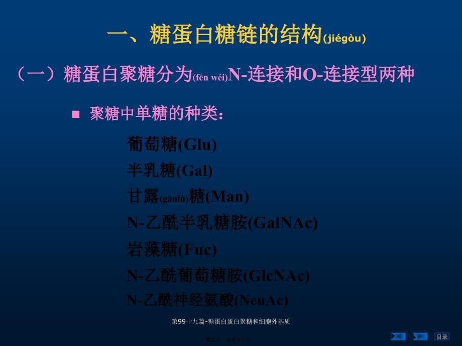 第99十九篇糖蛋白蛋白聚糖和细胞外基质课件_第5页