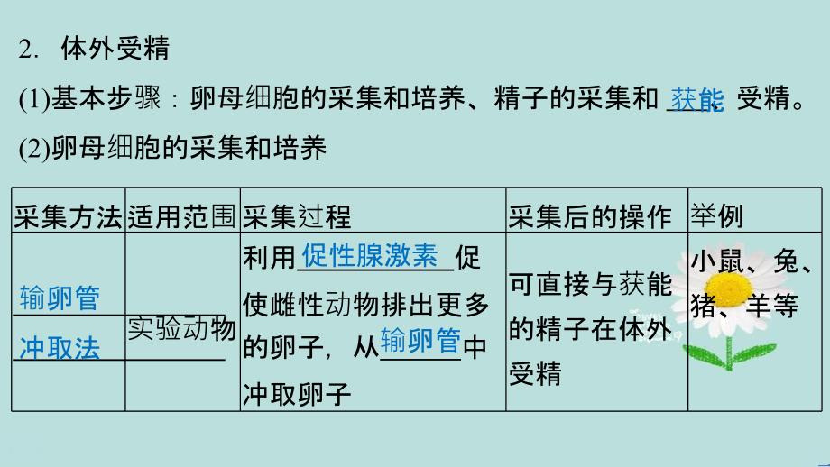 201x201x高中生物专题三胚胎工程3.2体外受精和早期胚胎培养新人教版选修_第4页