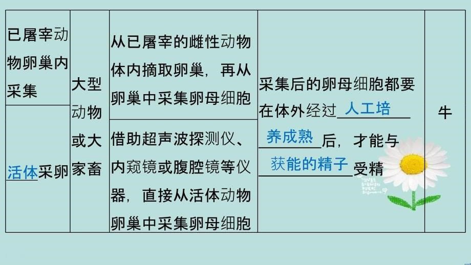 201x201x高中生物专题三胚胎工程3.2体外受精和早期胚胎培养新人教版选修_第5页