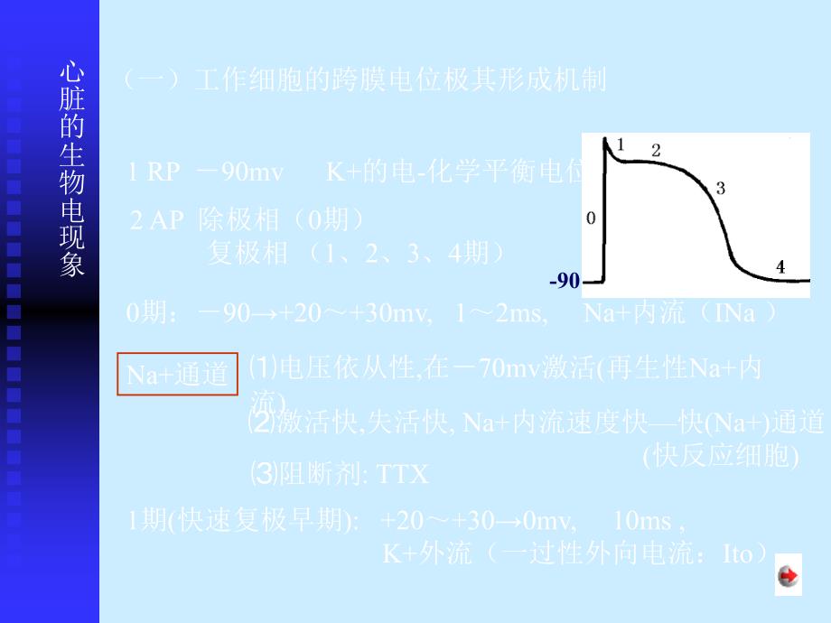 血-液-循-环2完成课件_第4页