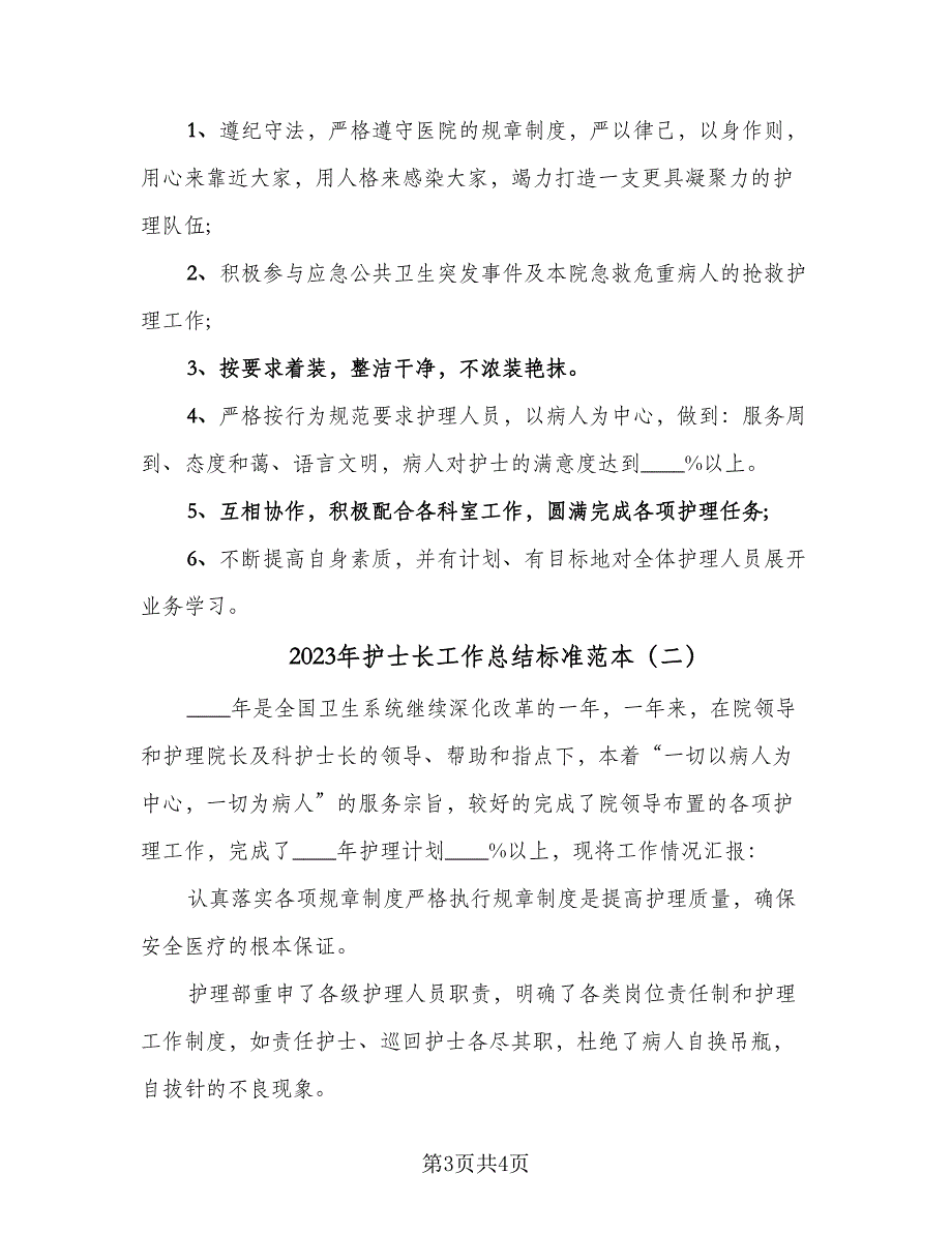 2023年护士长工作总结标准范本（二篇）_第3页